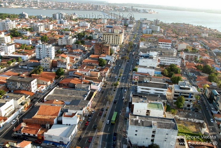 Caricamento in Corso ....... Immagine Pau Brasil®